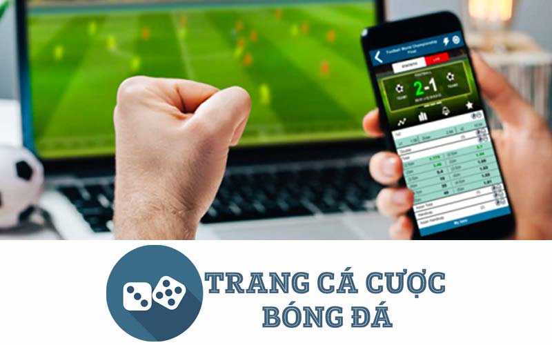 nhà cái cá độ bóng đá online