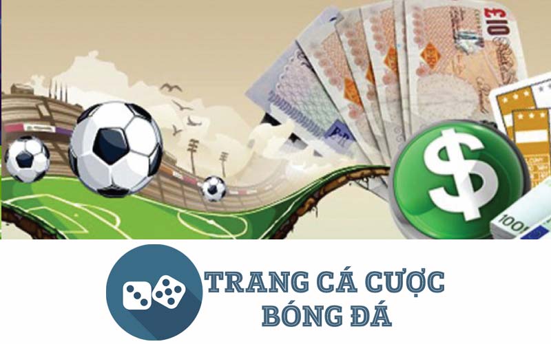 trang cá cược bóng đá uy tín