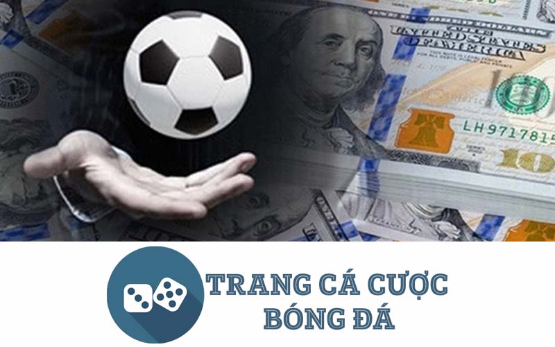 trang cá độ bóng đá uy tín