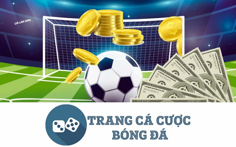 trang cá độ bóng đá