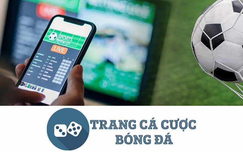 web cá độ bóng đá