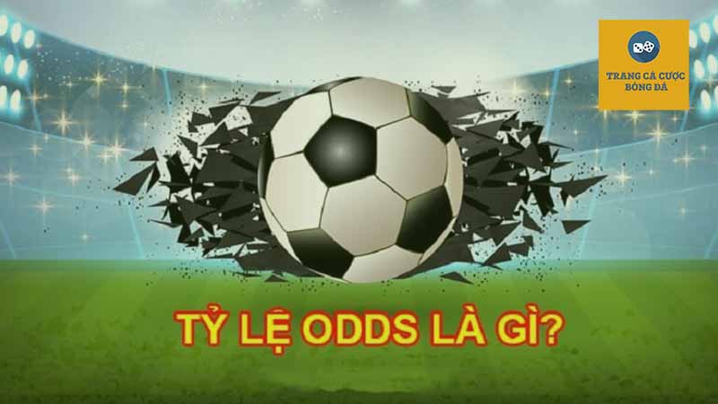 tỷ lệ Odds là gì